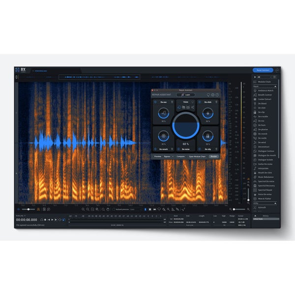 iZotope RX 10 Advanced (download)