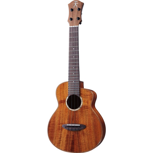 aNueNue Bird UC 1K Concert Ukulele avec étui