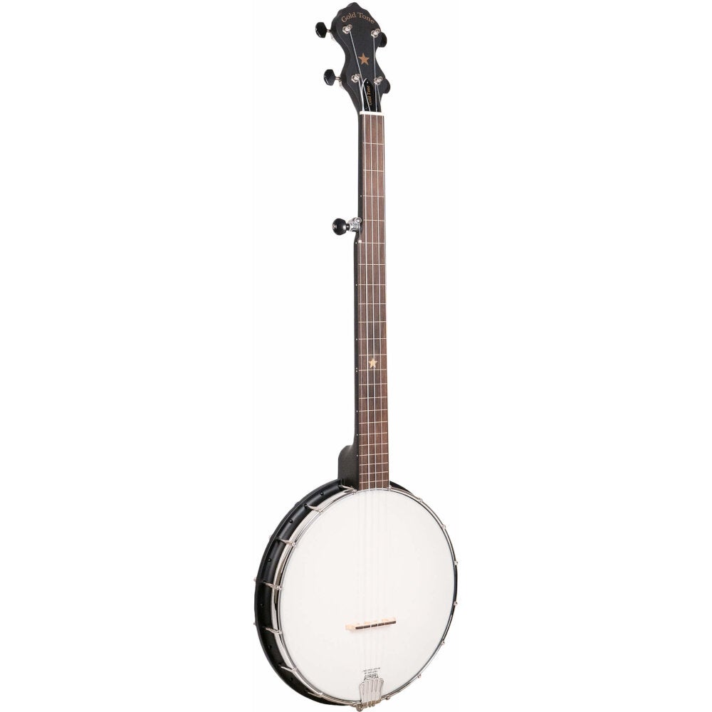Gold Tone AC-1FL 5-String Fretless Open Back Banjo with Gig | Bax Music