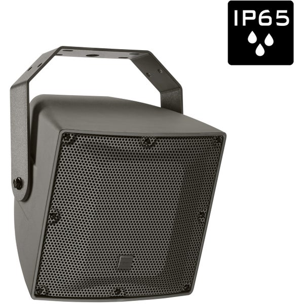 Audiophony EXT106 Coaxial Outdoor Speaker