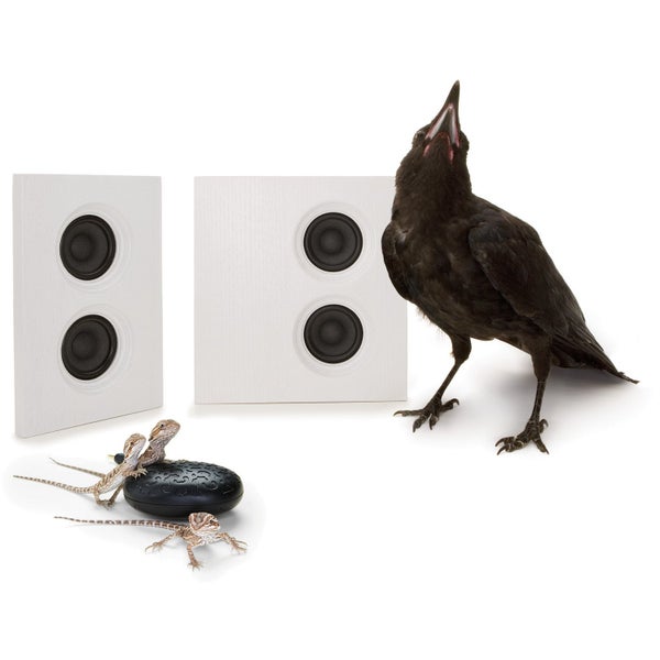 Marcel Wanders Domino + Mathilda