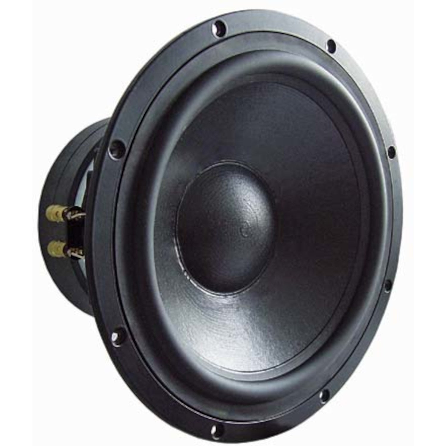 Visaton TIW 300 - 8 Ohm 12-inch woofer | Bax Music