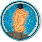 Latin Percussion LP7104 Sound Vibrations 14″ Ocean Drum, Seahorse illustration hippocampe