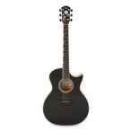 Taylor Doyle Dykes DDSM Signature 178 of 200 Black 2011 (D'occasion)