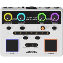 (Stock B) AVE-100 Multi-Effets vocal