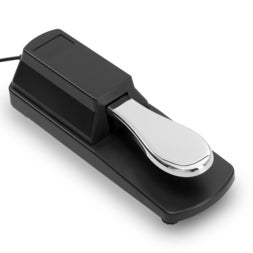 (B-Stock) SP-1 Sustain Pedal