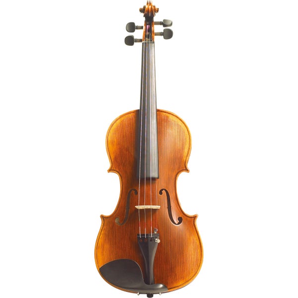 Stentor SR1875A Elysia 4/4 violon acoustique