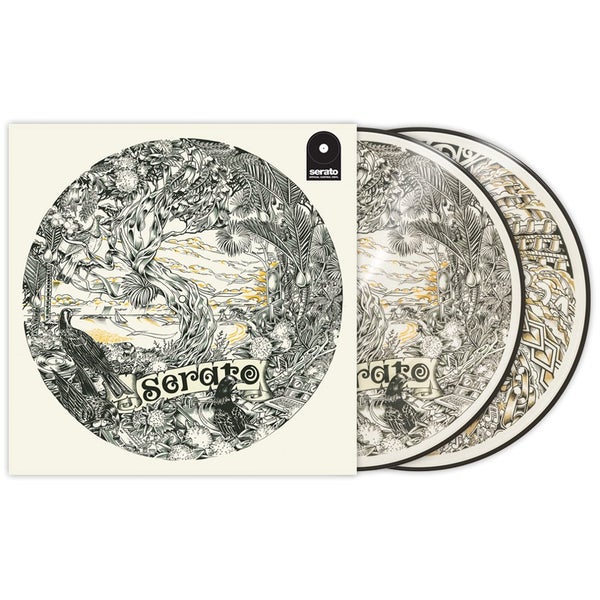 Serato  2 vinyles timecodé Artist Series Dan Tippett