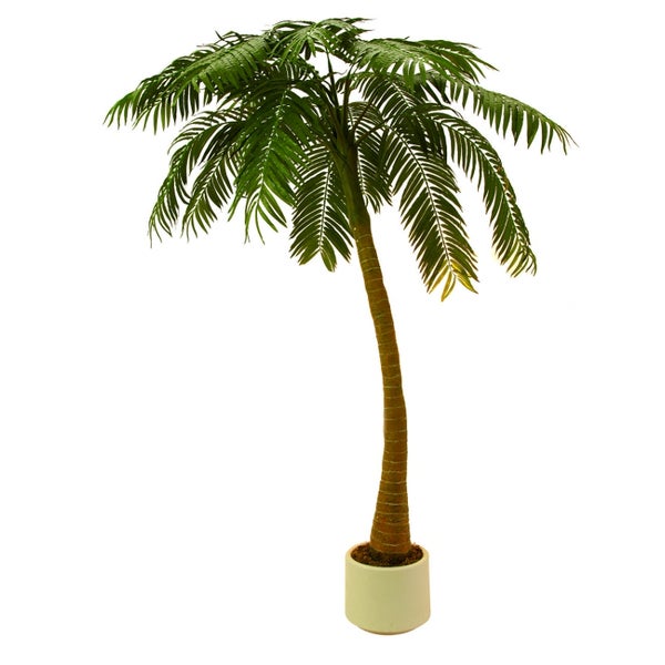 Europalms palmier 300 cm