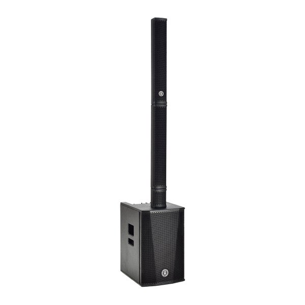 ANT B-TWIG 12 PRO système sono actif en colonne noir