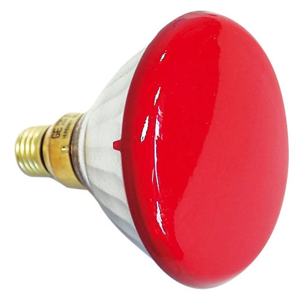 Showtec lampada par 38 E27 230 V 80 W, rosso