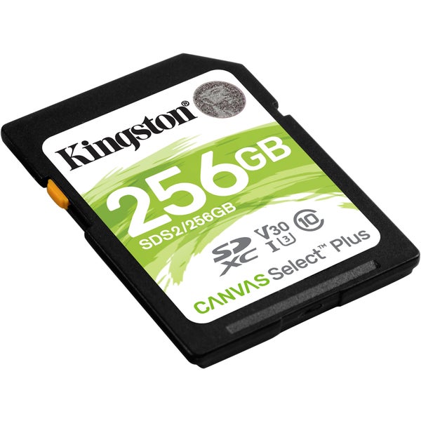 Kingston Canvas Plus SD Memory Card - 256GB