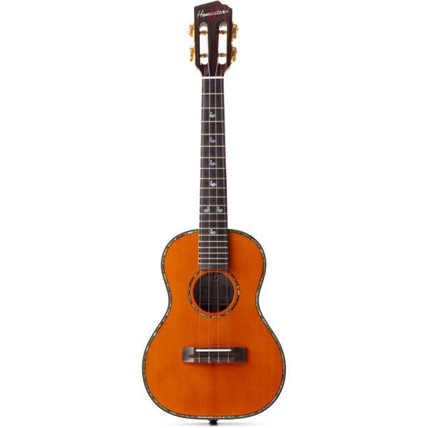 Homestead UK-T ukulélé ténor électro-acoustique + housse