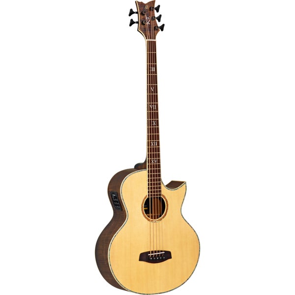 Ortega Signature Series KTSM-5 basse acoustique 5 cordes avec gigbag