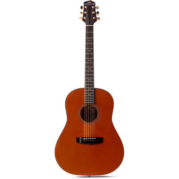 Javatar DS Dreadnought Slope Shoulder guitare électro-acoustique folk avec housse