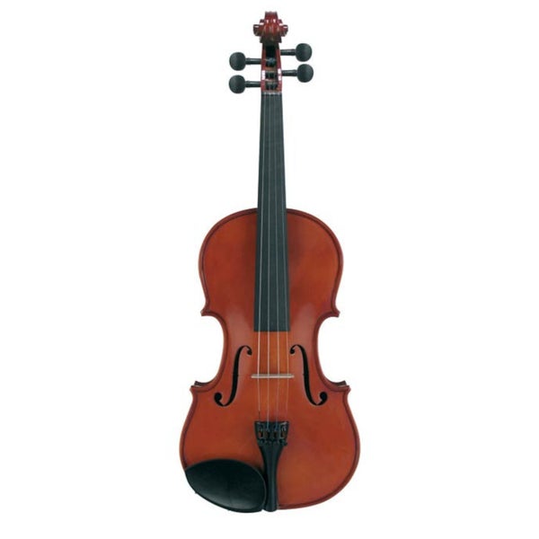 Leonardo LV-1644 Basic Series Violin Outfit 4/4 violon acoustique avec étui et archet