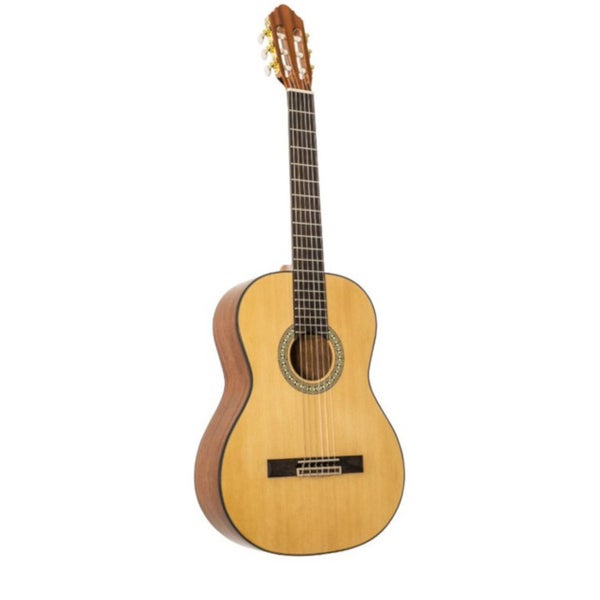 Peavey Delta Woods CNS-1 Classic Nylon String Guitar Classical Guitar