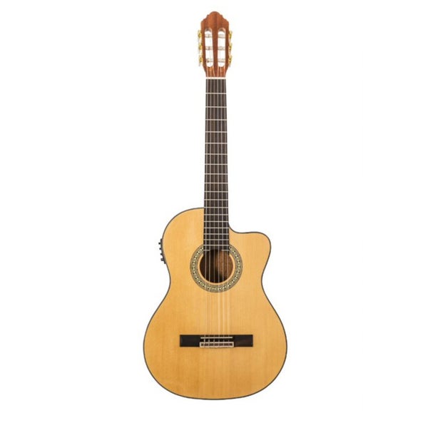 Peavey Delta Woods CNS-CE Classic Nylon String Guitar guitare classique électro-acoustique