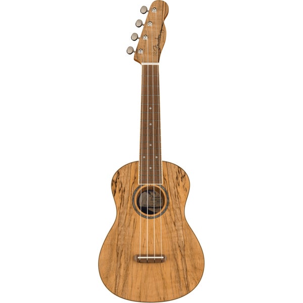 Fender California Coast Zuma Exotic Spalted Maple Concert Ukulele